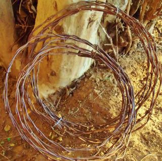 Vintage and Antique Barbed Wire for Crafts 12 Foot Glidden Baker 