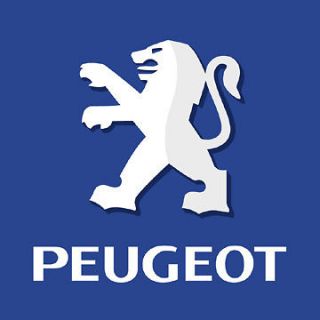 how to re program peugeot key 106 206 306 307