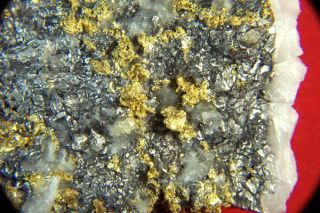 Very RARE Museum Grade 15 66 Ounce Gold in ARSENOPYRITE Nugget Nuggets 