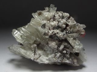 Hubnerite Fluorite Rhodo Muscovite Quartz Pasto Bueno Mine Peru