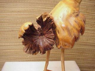 Vintage Bird Plume Parasite Root Wood Art Sculpture Mushroom Tree 