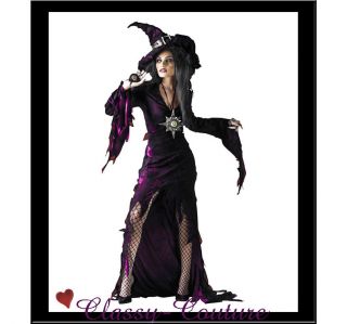   Evil Queen Sorceress Witch Halloween Costume   Sz Standard/Plus Size