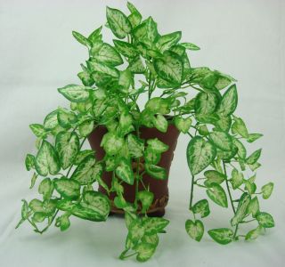 11 inch WHITE CALADIUM PLANT Artificial Silk Plants Mini leaves 