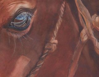 Print Quarter Western Arab Sorrel Horse Painting Art