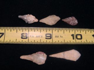 Set of 5 Nice Drill Tools Awls Neolithic Knife Blade Arrowhead Points 