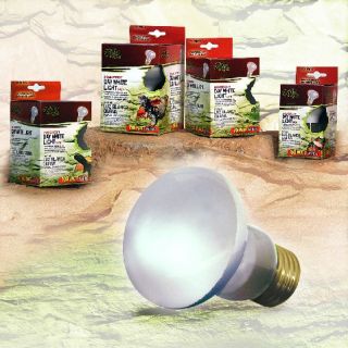 Zilla Reptile Day White Light Heat Spot Bulb 150 Watt Available Free 