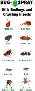 Bug e Spray, 22oz Bed Bug, Head Lice, Ants, Spider, and Flea Spray Non 