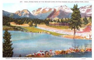 Trail Ridge Road Beaver Dams Hidden Valley Estes Park Co Colorado Vtg 