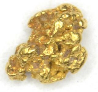 103 Gram Bering Sea Smaller Gold Nuggets Special Price