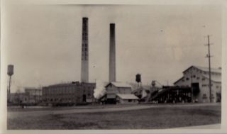 Bellingham WA 1930s Lumber Mill Snapshot