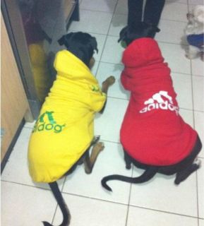 Big Puppy Dog Clothes Clothing Hooded T Shirt Summer Autum Wear 3XL 