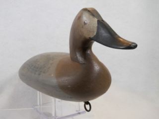 Upper Chesapeake Bay MD Havre de Grace Canvasback Hen Duck Decoy Jim 