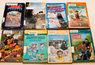 Classroom Box Lot of 115 Paperback Childrens Chapter Books