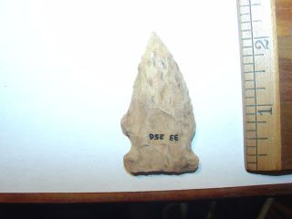   Indian Artifacts,Nice, Paleo, Big Sandy Triangular Point,TN., 2 1/4