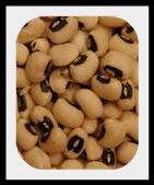 blackeyed peas blackeyed peas are in the legume family which