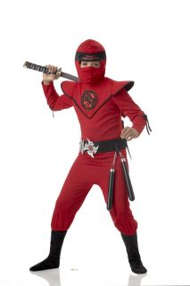 Special Ops Ninja Master Dragon Child Warrior Costume