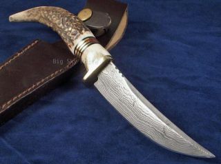 Fox N Hound Black Mountain Scout Stag Handle Fixed Blade Damascus 