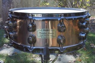  Black Panther Precious Metal 5 5 x 14 Phosphor Bronze Snare Drum 