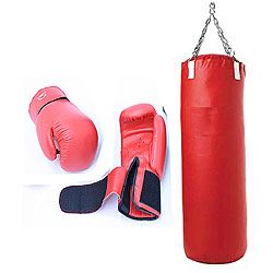 Pro Boxing 16 Ounce Boxing Gloves and Boxing Heavy Bag Punching Bag 
