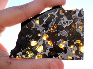 Brenham meteorite pallasite Part slice 61 7 grams
