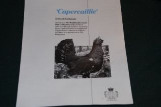 Royal Grafton Derek Braithwaite Capercaillie Ltdedplate