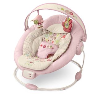 Bright Starts Comfort and Harmony Bouncer Vintage Garden