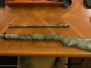  Ruger 10 22 Stock and Barrel