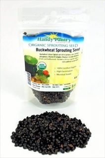 oz Organic Whole Shell on Buckwheat Seeds Grow Buck Wheat Sprouts 