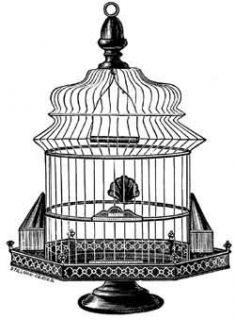 1883 Wire Ware Catalog Bird Cages Garden Kitchen Office