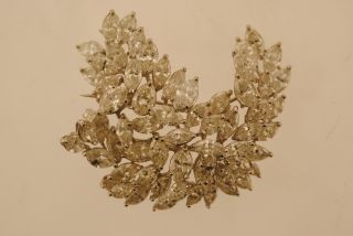 Lady’s Diamond Brooch in Platinum Mounting Branch of Leaves Design 