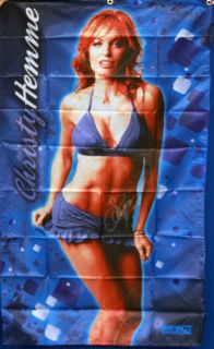  hemme autographed knockout banner this 3 by 5 banner fabric banner 