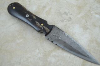   Handmade Damascus Steel Dagger Hunting Knife Buffalo Horn IM07