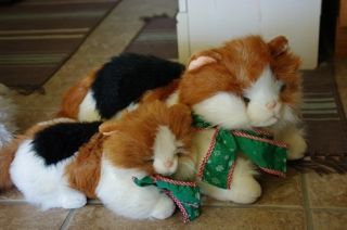 Lg Sm The Calico Cat The Gingham Dog and Calico Cat stuffed animals