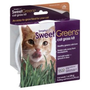 Smarty Kat Sweet Greens Kit 09700 Cat Toy Treat