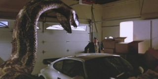 Python Busty Jenny McCarthy Cult Godzilla Sized Snake Horror 
