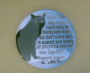 Lil Bit Cat Shelter Cat Rescue Button Badge or Magnet