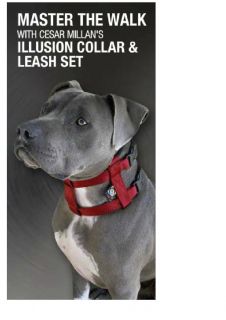 Cesar Millan Halsband Illusion Dog Collar and Leash Set Next 