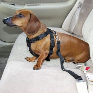 Car Vehicle Nylon Pet Cat Dog Seat Safety Belt Seatbelt