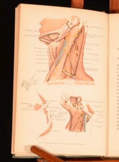   Surgical Anatomy of the Lymphatic Glands Cecil Leaf Illustrated Scarce