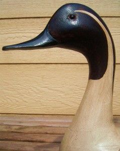 AWESOME SIGNED; 1975 Tory Ward DRAKE PINTAIL Hollow Wood Duck 