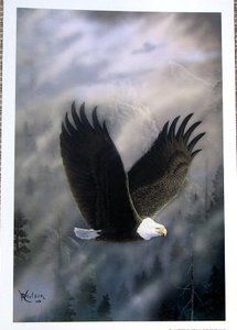 now free ray whitson print bald eagle 12 x 8