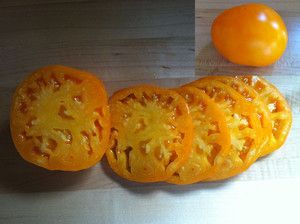 Qi Huang Orange Chinese Tomato Seeds RARE Organic Heirloom Flat SHIP 