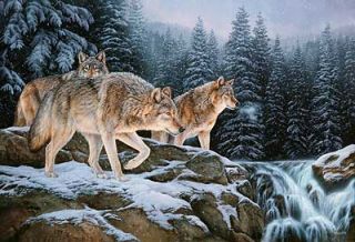 Rosemary Millette s N Print Spirit of The Wild Wolf