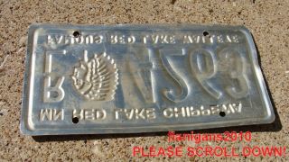 Vintage Minnesota Red Lake CHIPPEWA Famous Walleye License Plate  RL 