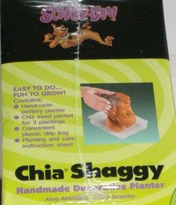Scooby Doo Shaggy Chia Pet Planter Grow Plant
