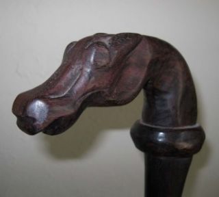 vintage carved horse head wood cane walking stick search
