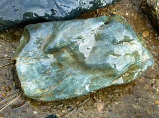 27 lb Riverworn Teal Blue Jadeite Clear Creek CA lapidary Cutting