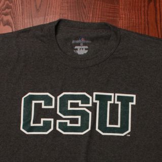 Colorado State University CSU Rams Bold School Lettering Gray Medium