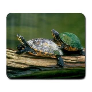 peninsula cooter turtles mousepad mouse mat this is a gorgeous fine
