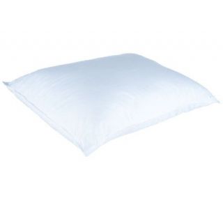 Sealy Posturepedic STD Latex Pillow with Trillium Cover —